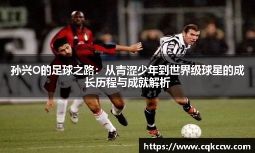 凤凰联盟首页官网